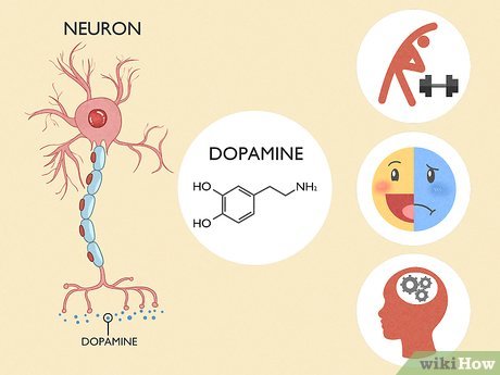  Cum să faci o resetare a dopaminei